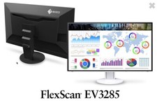 eizo lcd monitor usato eizo lcd monitor usato Milano