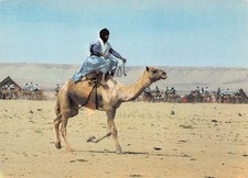 Morocco goulimine man d'occasion  Expédié en Belgium