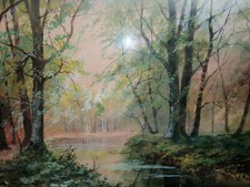 Sonnige waldlandschaft fluß gebraucht kaufen  Waghäusel