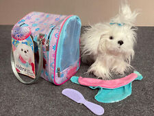 Pucci pups maltese for sale  DUNDEE