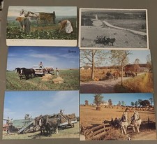 T5522 work horses for sale  Northwood