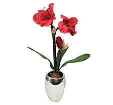 Metallic chrome ceramic for sale  Billerica