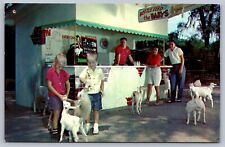 Postcard silver springs for sale  Greensburg