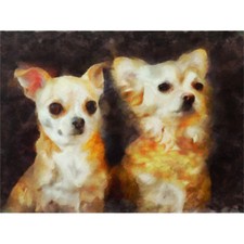 Chihuahua puppies painting for sale  EDINBURGH