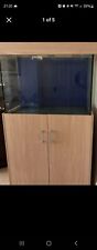 Large aquarium fish for sale  WATCHET
