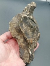 Lower paleolithic northern d'occasion  Bonneville