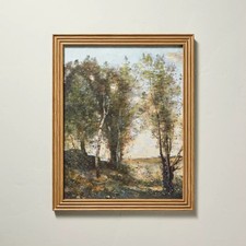 X20 trees framed for sale  USA