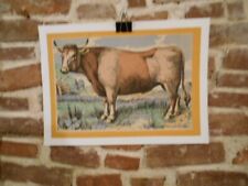 Authentique lithographie origi d'occasion  Viels-Maisons