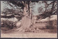 Cpa loupe gros d'occasion Cpa loupe gros d'occasion  Saint-Denis