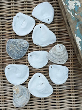 Decoupage ready oyster for sale  BOGNOR REGIS