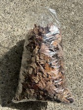 isopods springtails for sale isopods springtails for sale Charleston