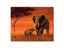 African elephant family for sale  Springdale