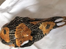Painted sheep skull for sale  WORCESTER