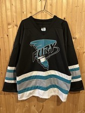Vintage muskegon fury for sale  Montague