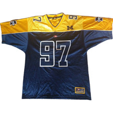 Michigan wolverines colosseum for sale  ST. HELENS