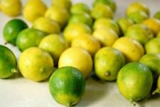 Key lime fresh for sale  INGATESTONE