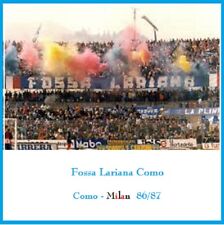 Tifo fossa lariana usato  Vittuone