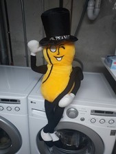 Rare tall mr. for sale  Kingsley