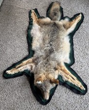 Tanned double felted for sale  Cooks