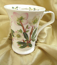 Dunoon christmas rose for sale  BALDOCK