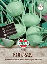 Sperli kohlrabi noriko gebraucht kaufen  Essen