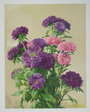 Reine marguerite schryver d'occasion  Paris XVIII