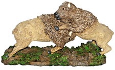 American buffalo bison for sale  Willow Street