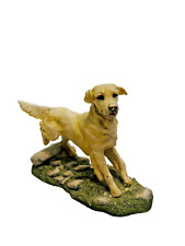 Heredities golden retriever for sale  CARLISLE