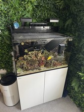 Red sea e260 for sale  BLACKPOOL