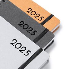 Agenda giornaliera 2025 usato  Parma