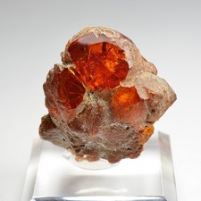 Amber chevrière oise d'occasion  Expédié en Belgium