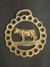 Guernsey cow channel for sale  STOKE-ON-TRENT