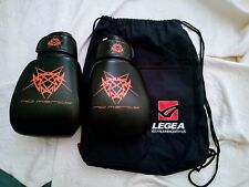 Guantoni muay thai usato  Asso