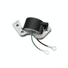 Bobina accensione evinrude usato  Palmi