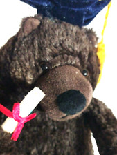 Teddy bear graduation for sale  Knox