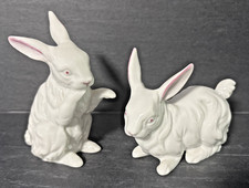 Pair white bunny for sale  Midlothian
