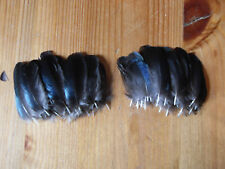 Small magpie wing for sale  ABERDEEN