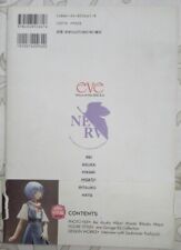 Artbook manga evangelion usato  Chignolo Po