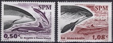 Spm saint pierre d'occasion  Illzach