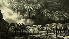 Dicksonia antarctica plante d'occasion  Pluvigner