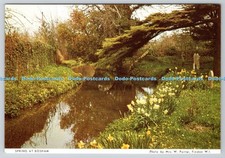 D330988 spring bosham. for sale  WARLINGHAM