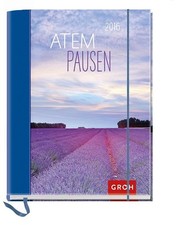 Atempausen 2016 terminplaner gebraucht kaufen  Einbeck