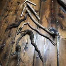 Treibholz schwemmholz klein gebraucht kaufen  Rastatt