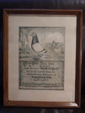 Alte gerahmte urkunden gebraucht kaufen  Adelebsen