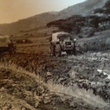 144487 militare colonie usato 144487 militare colonie usato  Oliveto Lario