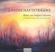 Landschaftsträume bilder helg gebraucht kaufen  Berlin