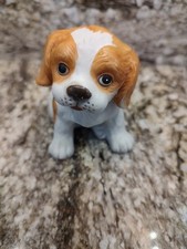 king charles cocker spaniel for sale king charles cocker spaniel for sale Cloverdale