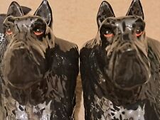 Black scottie dog for sale  EASTBOURNE