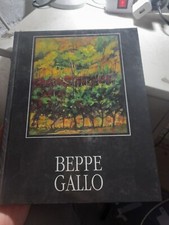 Beppe gallo meeting usato  Torino
