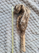Large drift wood for sale  MAIDSTONE